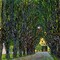 Avenue In Schloss Kammer Park 1913 Poster Print by Gustav Klimt - Item # VARPDX373308
